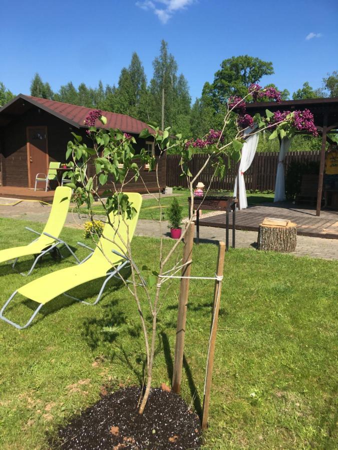 Hébergement de vacances Miera Osta Koceni